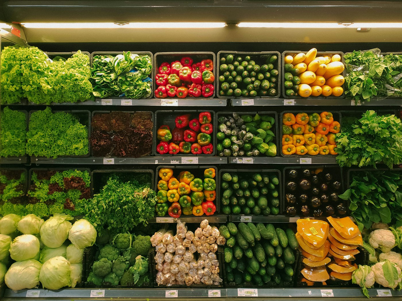 Food and ingredients