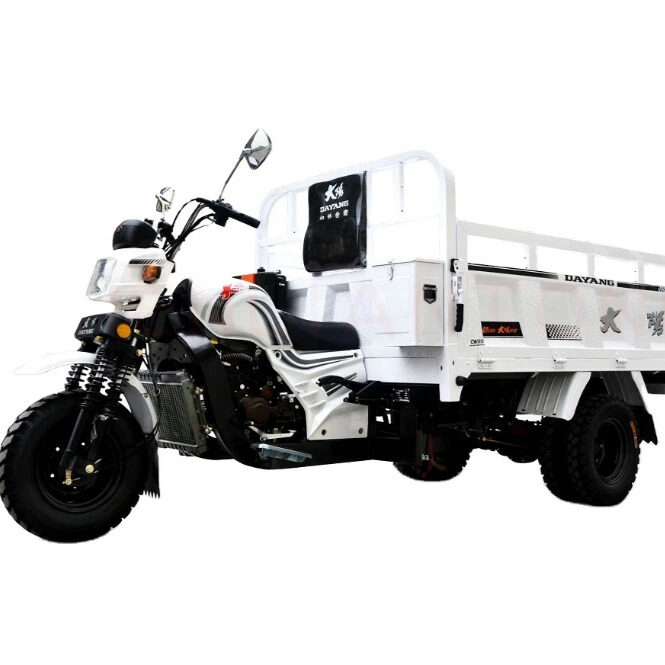 WhatsApp Image 2025-09-17 at 6.07.36 PM